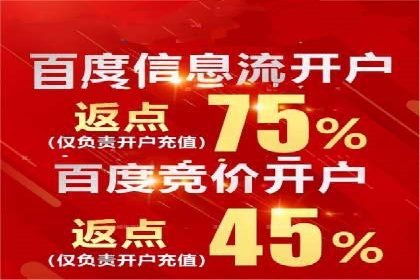 SEM主管实战：数据分析与策略调整